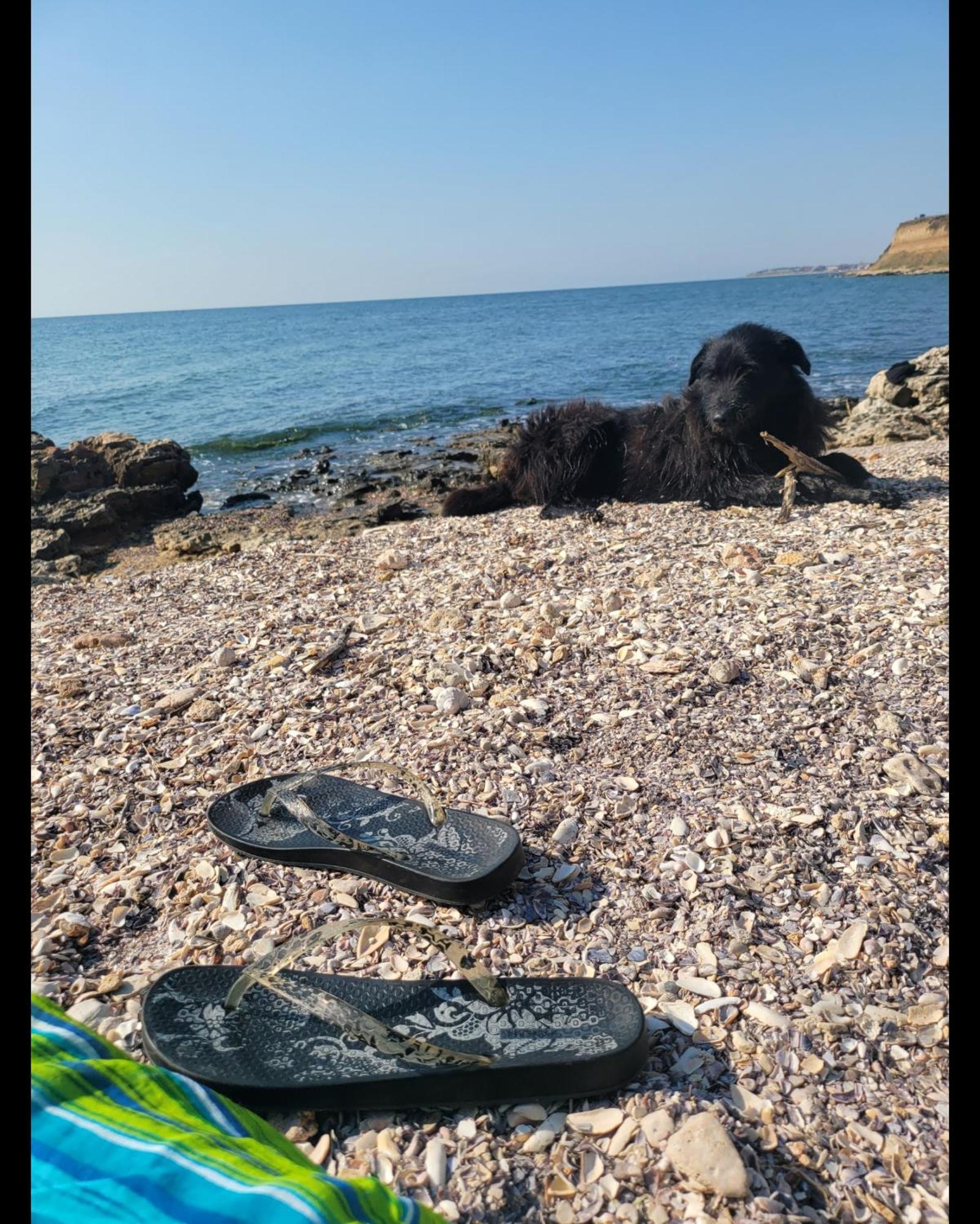Breathe Ξενοδοχείο Vama Veche Εξωτερικό φωτογραφία